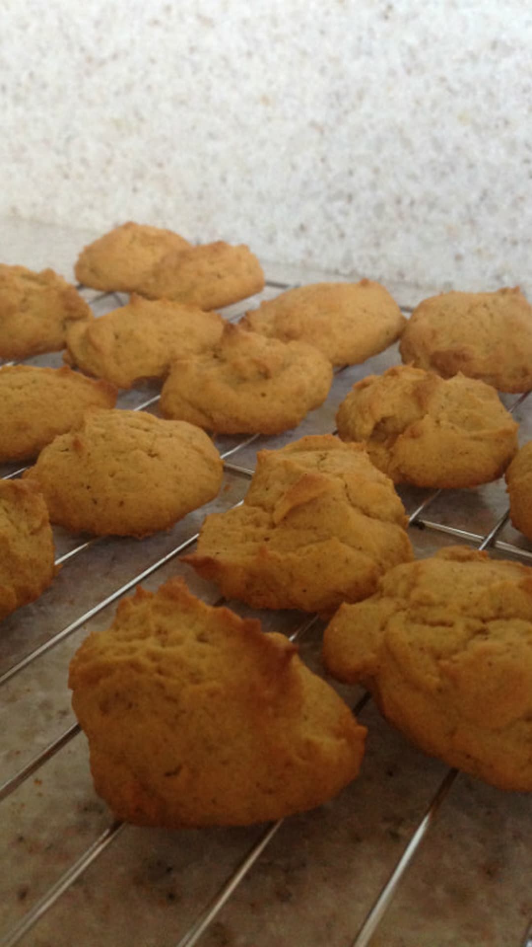 Pumpkin Cookies