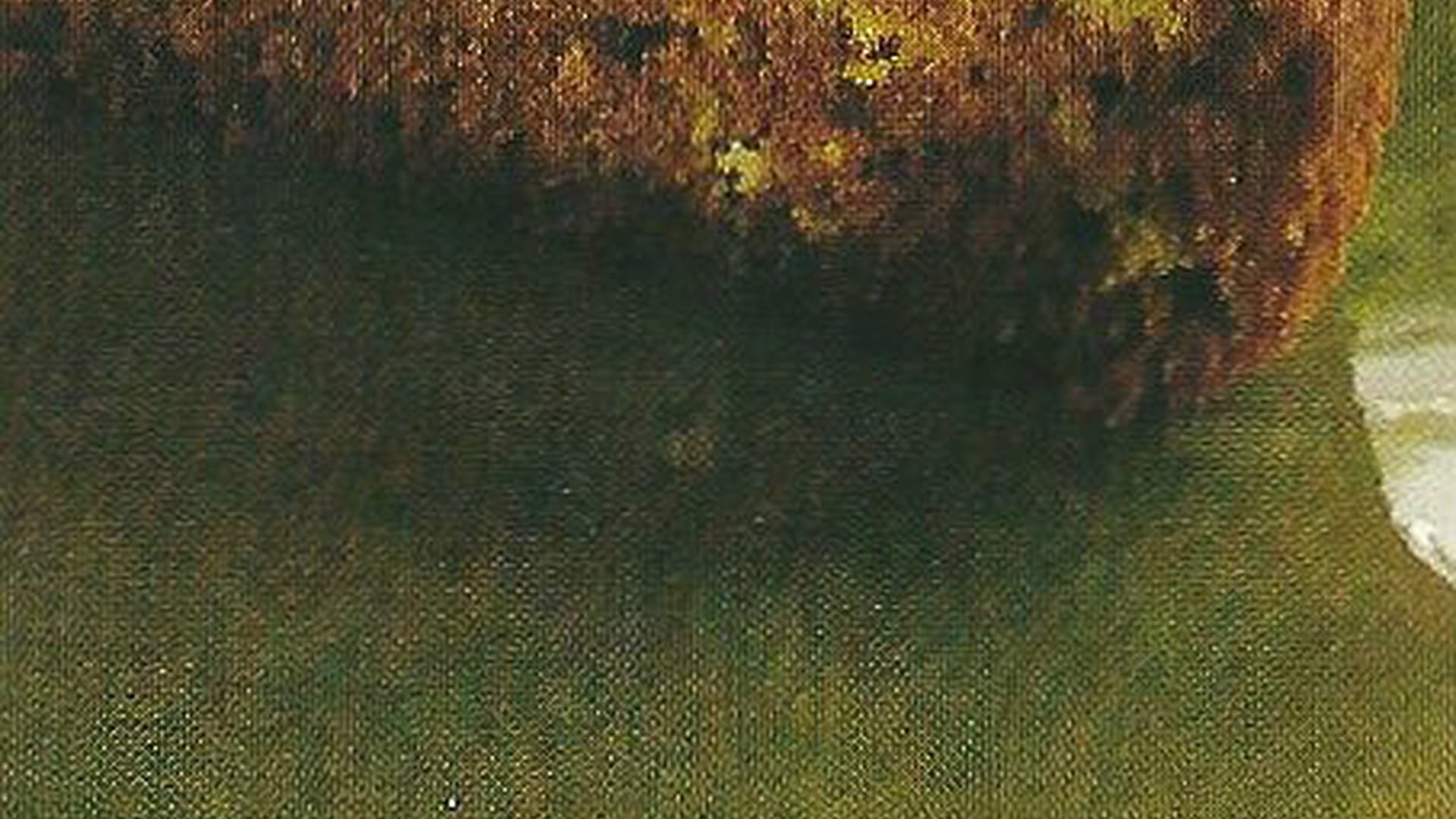 Chocolate & Orange Cake