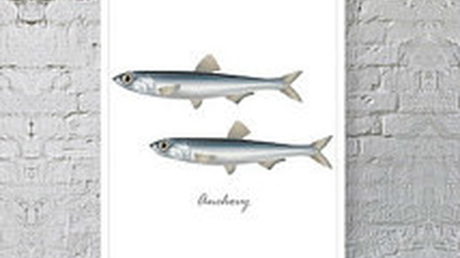 Anchovy Stuffed Eggs