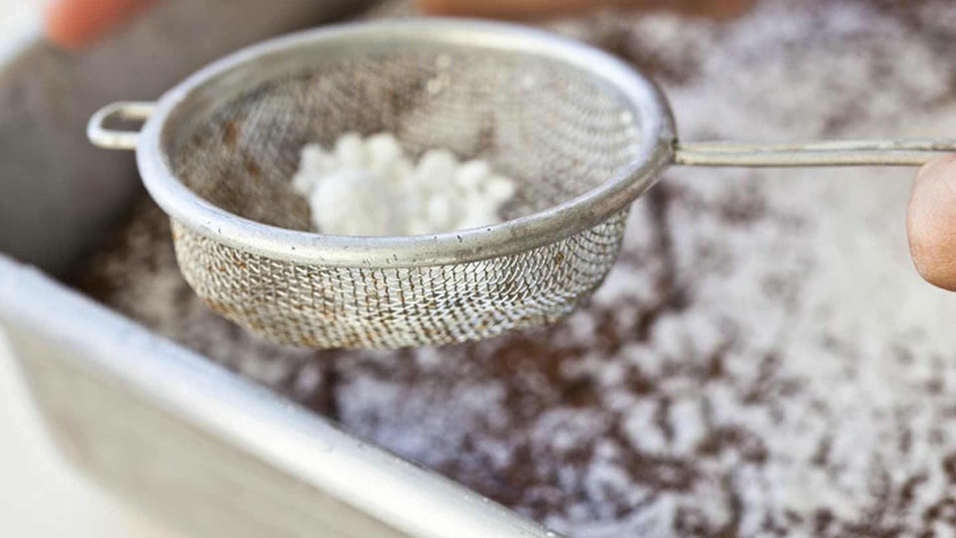 Molasses-Ginger Bars